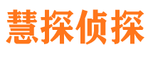 从化市调查公司